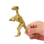 Dinosaur Fossil Skeletons